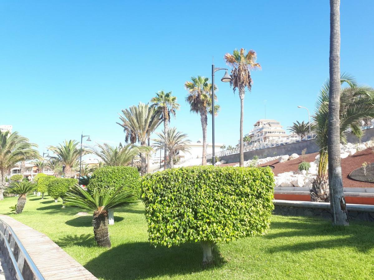 Tenerife Little Village S San Isidro  Exteriör bild